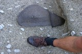 Proof of Bigfoot !
