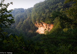 Rock among the trees