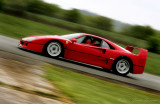 Enzo/F50/F40/288GTO
