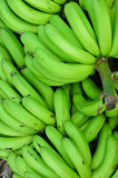 14 0949 Bananas