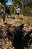 15 Douglas Bay Battery 2118