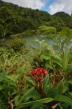 16 Freshwater Lake 1228