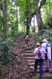 16 Trail to Middleham Falls 3059