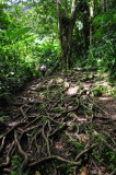 16 Trail to Middleham Falls 3062