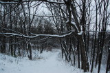 the winter path