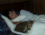 Eve Very Tired From 3.7 Mile Walk...The Kitty Is Guarding Her While She Sleeps.