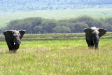 Tanzanie 2010