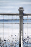 Lake Railing (4052)