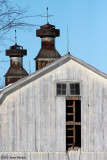 Barn Ladder (6478)