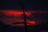 Sierra Sunset (8376)