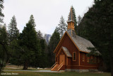 Yosemite Chapel (8171)