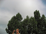 Karen, as I shot from the hip .. 4828