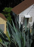 Agave and boarded houses .. 4915