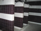 Purple and white tiles in the showers!  .. 6610