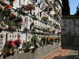 Cimitero di Settignano .. A3387