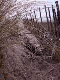 Ice on the dunes