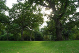 Alnarpsparken Skåne 7.9-08