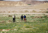 The site for Thick-billed lark