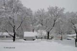 Storm Day 3 - Enough!