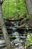 In Need of More Tranquility