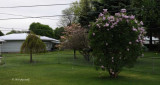 Mother Nature on Mother's Day