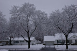 Last Snow of the Seeason?