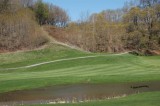 Looking Up Towards The Sledding Hill