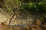 IMGP6045.JPG