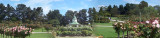 Panorama, State rose garden, Werribee