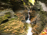 Spiral Gorge - Watkins Glen State Park