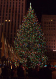20091206-P1020456.jpg