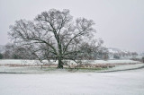 12/5/09 - 1st Snow of Season