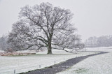 12/5/09 - 1st Snow of Season