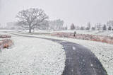 12/5/09 - 1st Snow of Season
