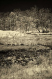4/16/08 - Infrared Wetlands