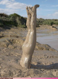 scott-stuck-in-mudd-P.jpg