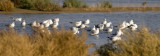20071214-_MG_9035.jpg