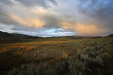 Lamar Valley