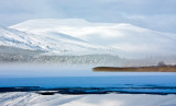 Snowy - Misty Morven