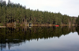 Reflections - Disturbed  - Loch Tanar