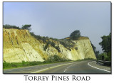 Torrey Pines Road