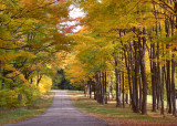 Autumn walk