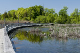 100521-07-Parc de lIle Bizard.jpg