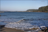 Surf Looking at Winchester Bay.jpg