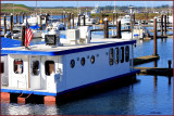 Fish  Chips Dock Access