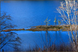 Tahkenitch Lake Shoreline