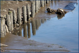 Florence Oregon  Low Tide