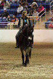 2010-01-15 Alternative Horsemanship 001.jpg