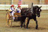 2010-01-15 Bear Creek Equestrian Drill Team 029.jpg