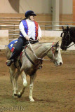 2010-01-15 Bear Creek Equestrian Drill Team 030.jpg
